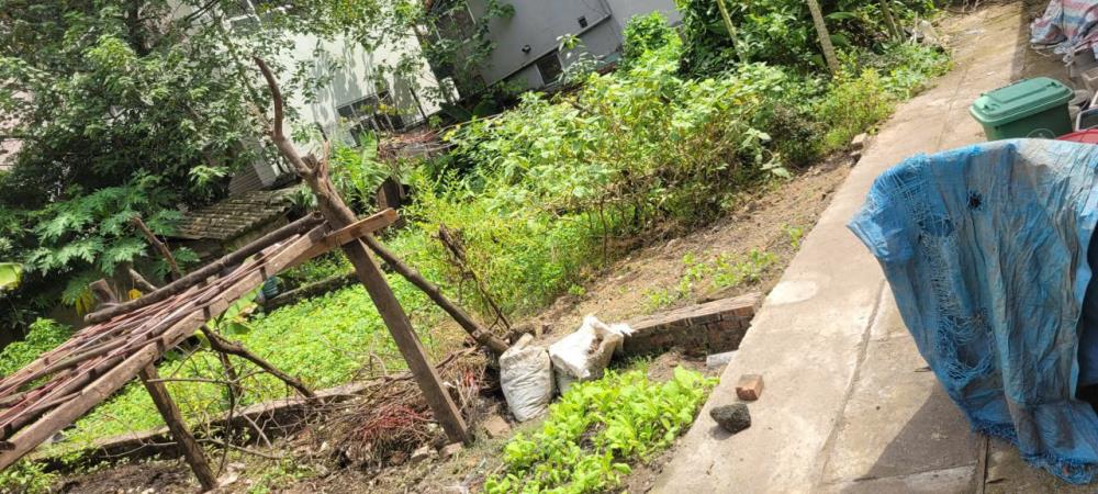 Đất nền Kiêu Kỵ Gia Lâm 56m² giá 4 tỷ - Cơ hội đầu tư sinh lời hấp dẫn!