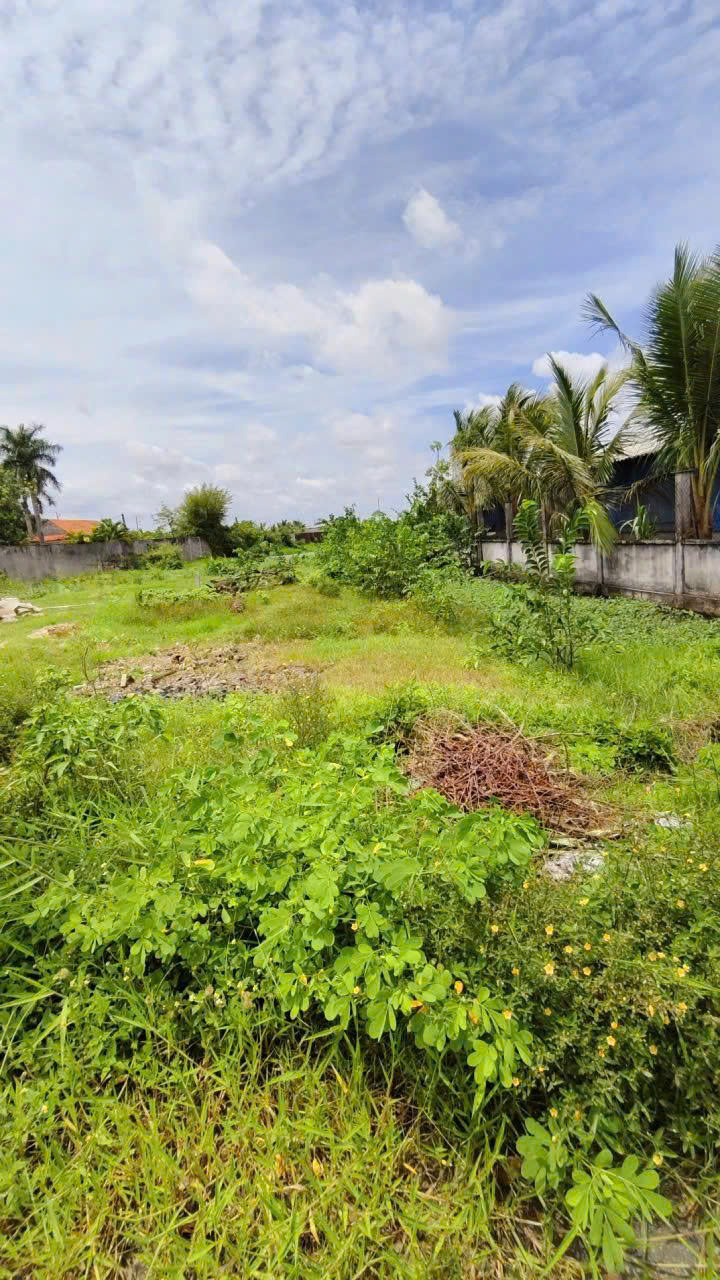 Bán đất thổ cư 138m² mặt tiền đường nhựa Bàu Sen, xã Đức Lập Hạ - Giá chỉ 1.6 tỷ!