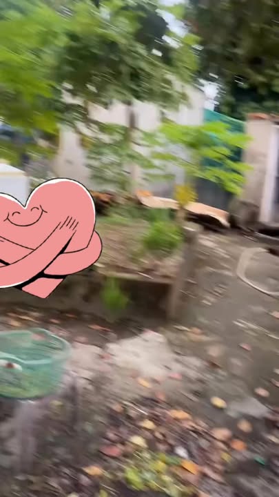 Đất nền chính chủ tại Quốc Thái, An Phú - Tổng diện tích 253m² giá 6 tỷ - Đầu tư sinh lời ngay!