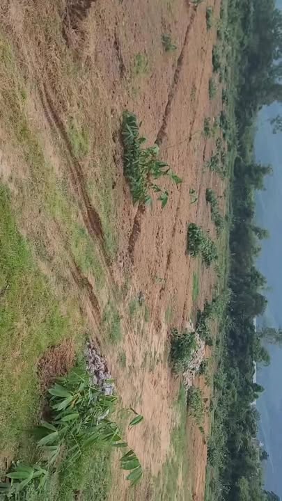 Đất trang trại 12.000m² Bình Khê Đông Triều giá chỉ 1 tỷ - Cơ hội đầu tư tốt!