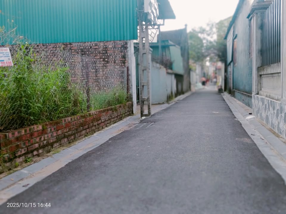 Đất nền Thụy Lâm Đông Anh 66m² giá 4 tỷ - Đầu tư sinh lời tiềm năng!