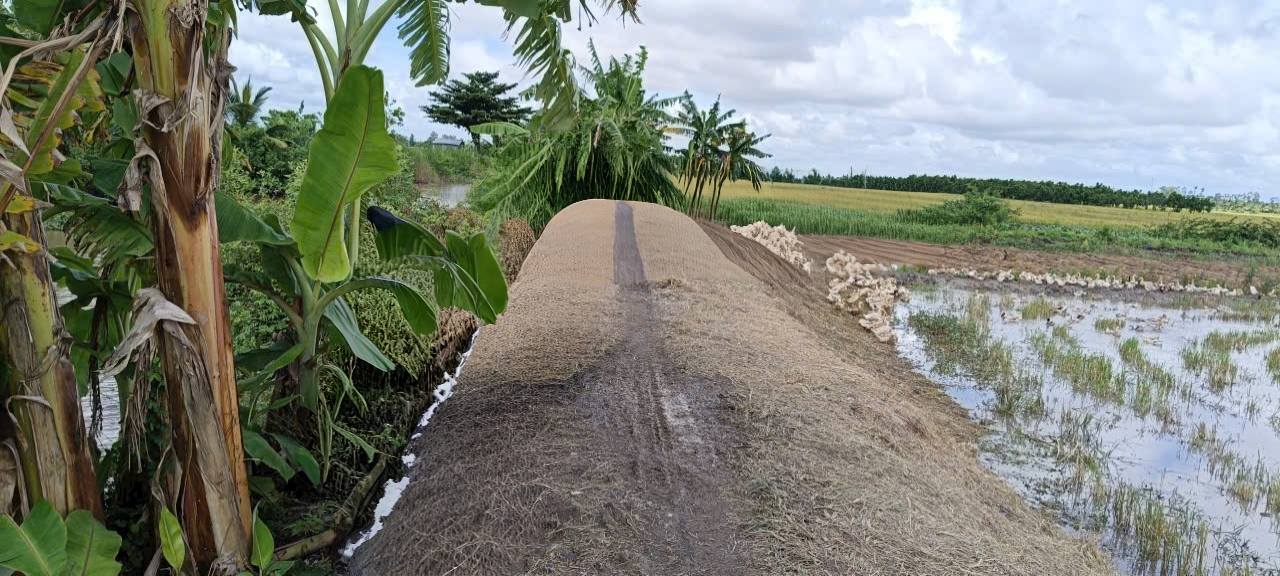 Đất nền Phong Hoà 9500m² giá 2.47 tỷ - Cơ hội đầu tư sinh lời!