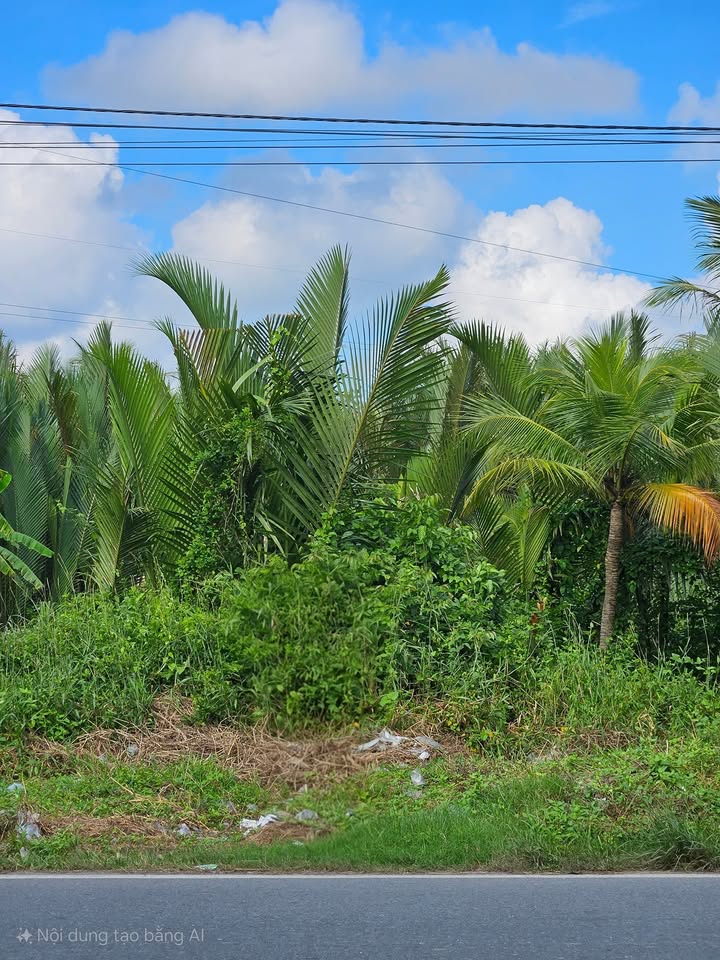 Đất Quốc Lộ 60, Đa Phước Hội, Bến Tre 543m² giá 2.715 tỷ - Đất chính chủ, thuận lợi đầu tư!