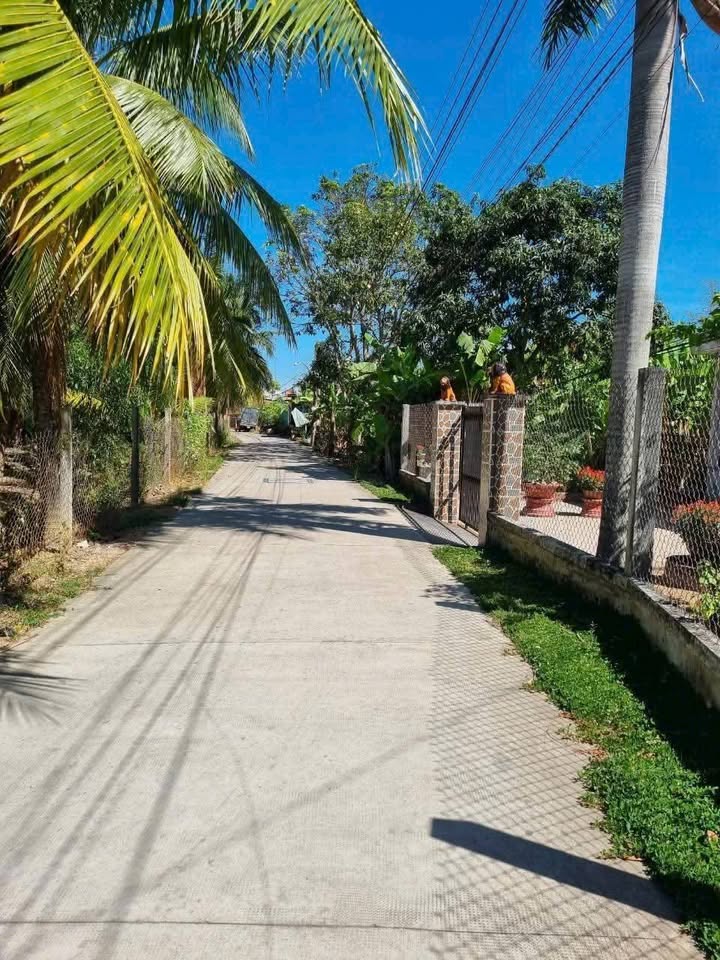 Đất nền phường Phú Tân Bến Tre 475m² giá 2.4 tỷ - Thích hợp xây dựng và kinh doanh!