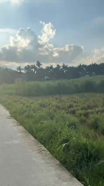 Đất nền Tịnh An Quảng Ngãi 309m² - Giá thỏa thuận hấp dẫn!