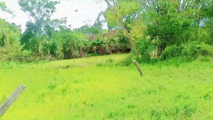 Đất thổ cư 400m² tại xã Toàn Lưu, Can Lộc - Chỉ 400 triệu!