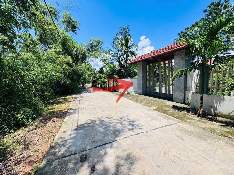 Đất nền đẹp tại Tân An, Yên Dũng, 90m² giá chỉ 1.1 tỷ - Sổ hồng chính chủ!