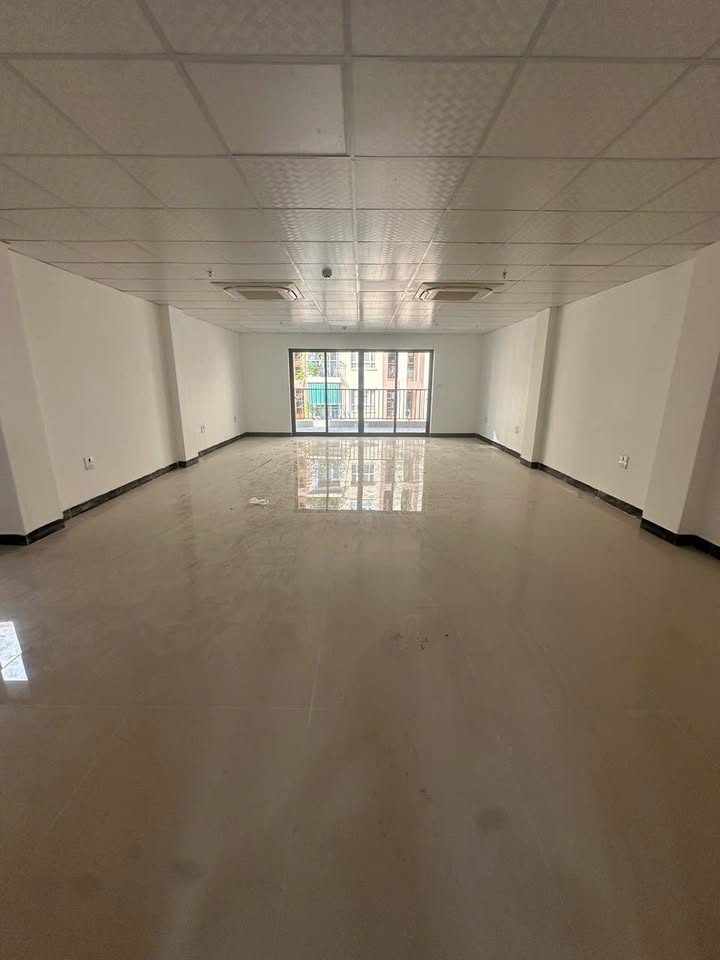 Nhà phố Mai Anh Tuấn, Đống Đa 120m² giá 80 tỷ - Kinh doanh sầm uất!