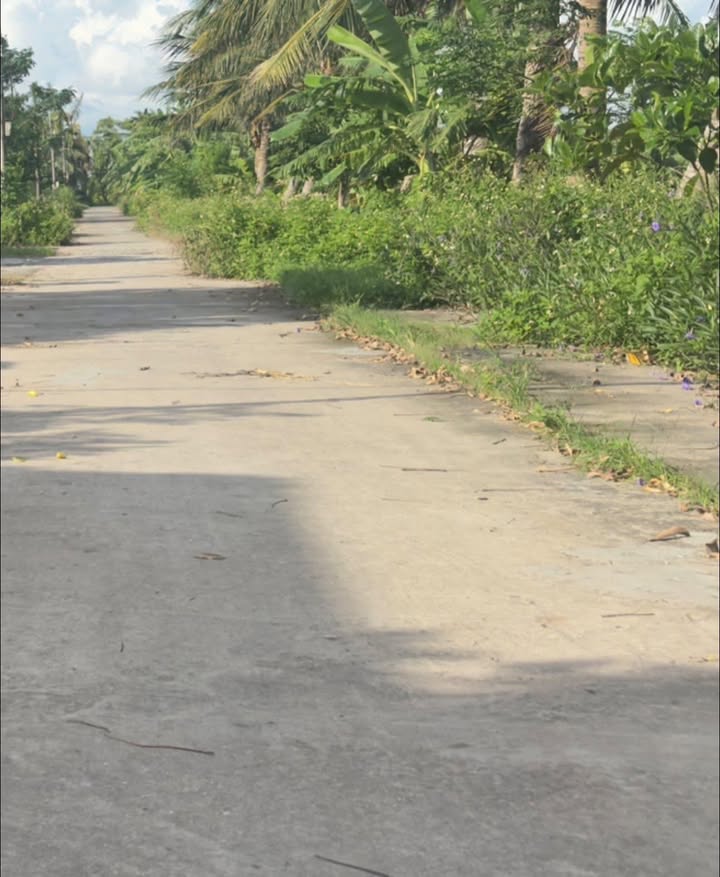 Đất nền Nguyễn Bỉnh Khiêm, Vĩnh Bảo, Hải Phòng 80m² - Đường rộng thông thoáng!