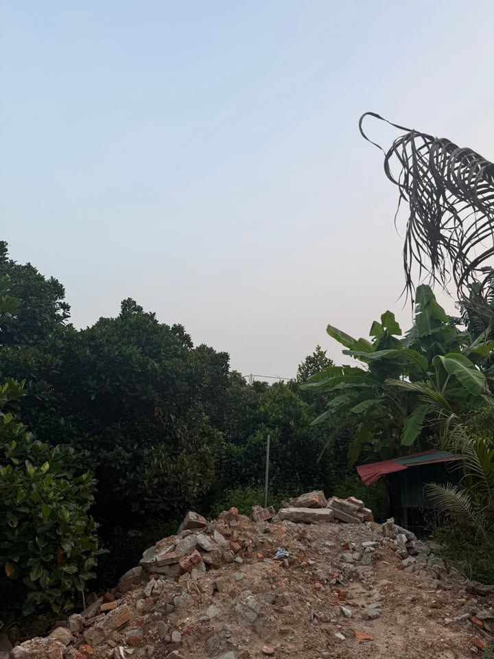 Đất vườn cho thuê tại Đại Phúc Bắc Ninh 2300m² - Gần đường lớn, thuận lợi cho sản xuất!