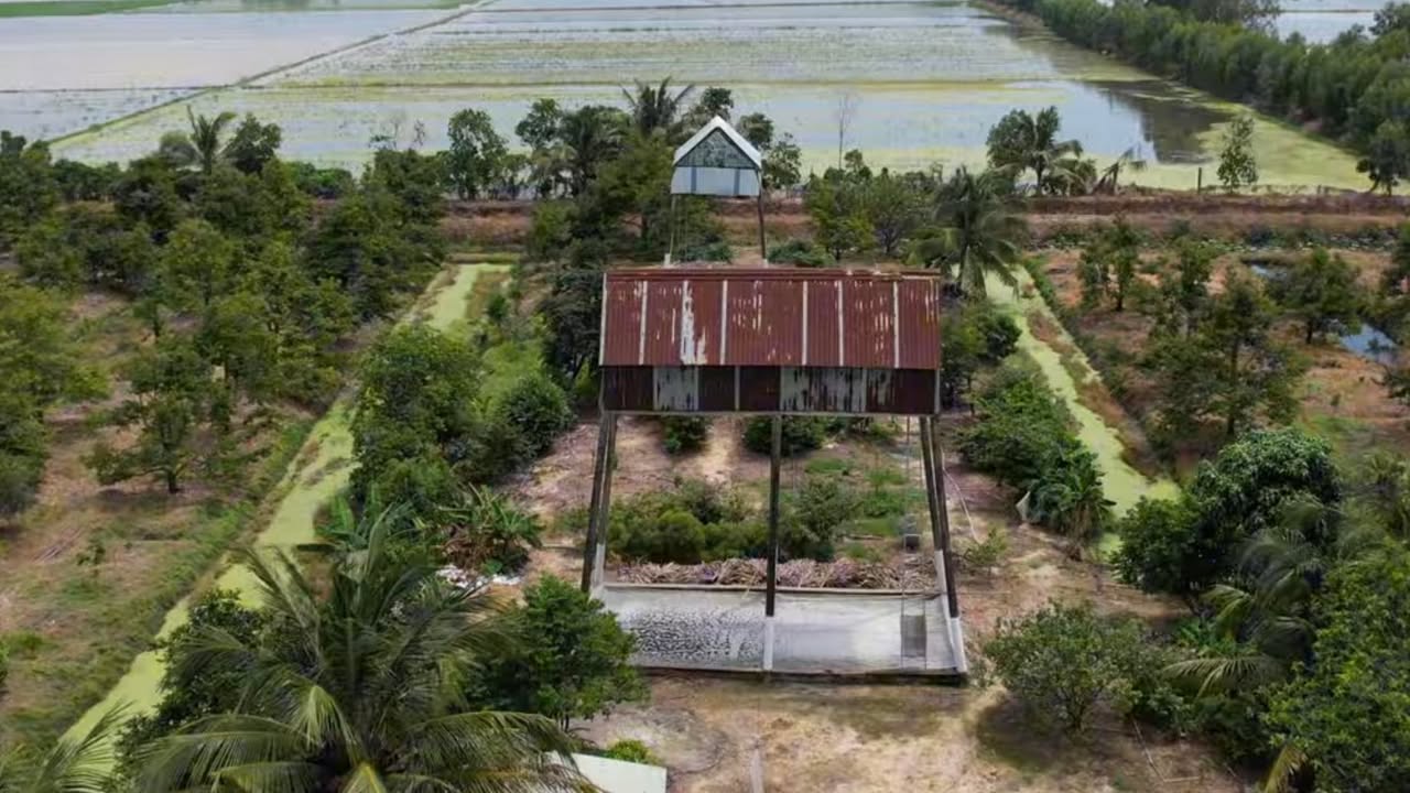 Farm sầu riêng 22.000m² tại Tân Hiệp, Thạnh Hóa - Đang thu hoạch, giá 4.95 tỷ!