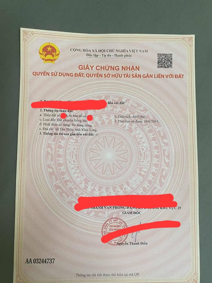 Đất ruộng 4.000m² xã Tân Thủy, Bến Tre - Giá chỉ 640 triệu, thương lượng!