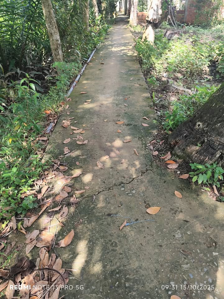 Đất nền Thạnh Ngãi, Ba Tri - 26.000m² giá 600 triệu - Cơ hội đầu tư lý tưởng!