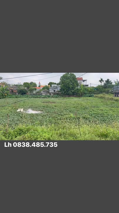 Đất nền Xóm Phong An, xã Khánh Thiện, 122.5m² giá chỉ 2 tỷ - Cơ hội đầu tư sinh lời!