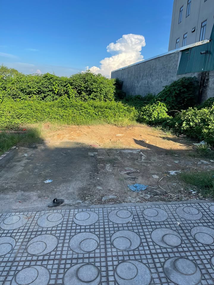 Đất thổ cư tại Thanh Đình, Việt Trì 150m² - Sổ đỏ chính chủ, giá thỏa thuận!