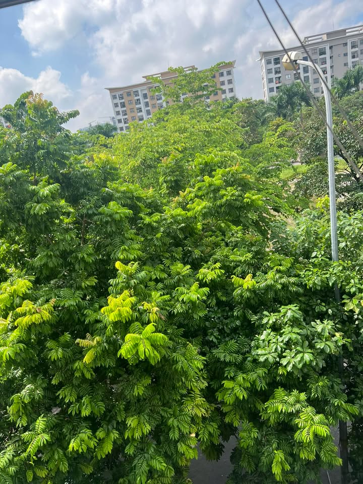 Cho thuê phòng trọ 30m² tại Đặng Xá - Sẵn sàng vào ở tháng 11/2025!