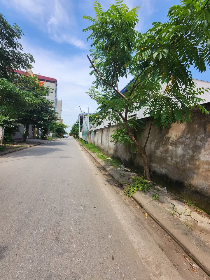 Đất dự án Vân Dương, Bắc Ninh 110m² giá 3.96 tỷ - Mặt tiền kinh doanh lý tưởng!