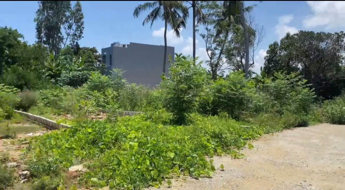 Đất thổ cư thôn Quang Châu, Hoà Xuân 120m² giá 1,6 tỷ - Dân cư đông đúc!