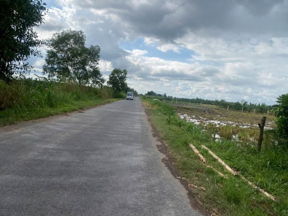 Đất mặt tiền đường nhựa mới, Phú Quới, 631m² giá 2.019 tỷ - Đầu tư sinh lời ngay!