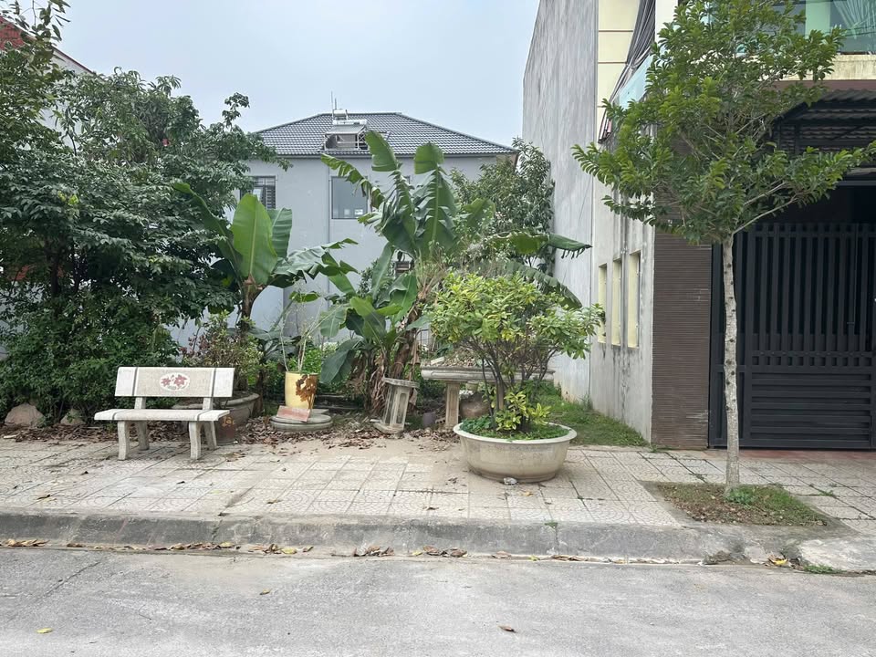 Đất nền đường Quang Trung, phường Hội Hợp 92.5m² giá chỉ 2 tỷ - Cơ hội đầu tư hấp dẫn!