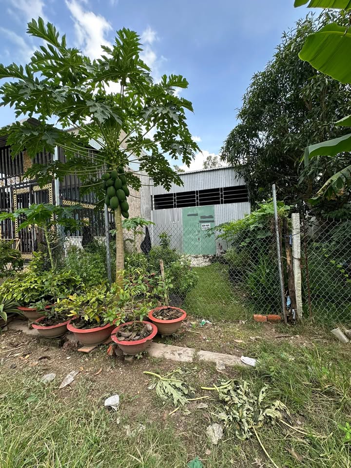 Đất nền Long Phú, Tân Châu, An Giang 90m² - Giá thương lượng hấp dẫn!