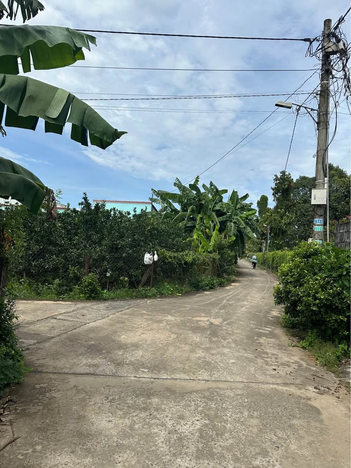 Bán đất thổ cư Bửu Long Biên Hòa, 115m², giá chỉ 1.05 tỷ - Cơ hội đầu tư tốt!