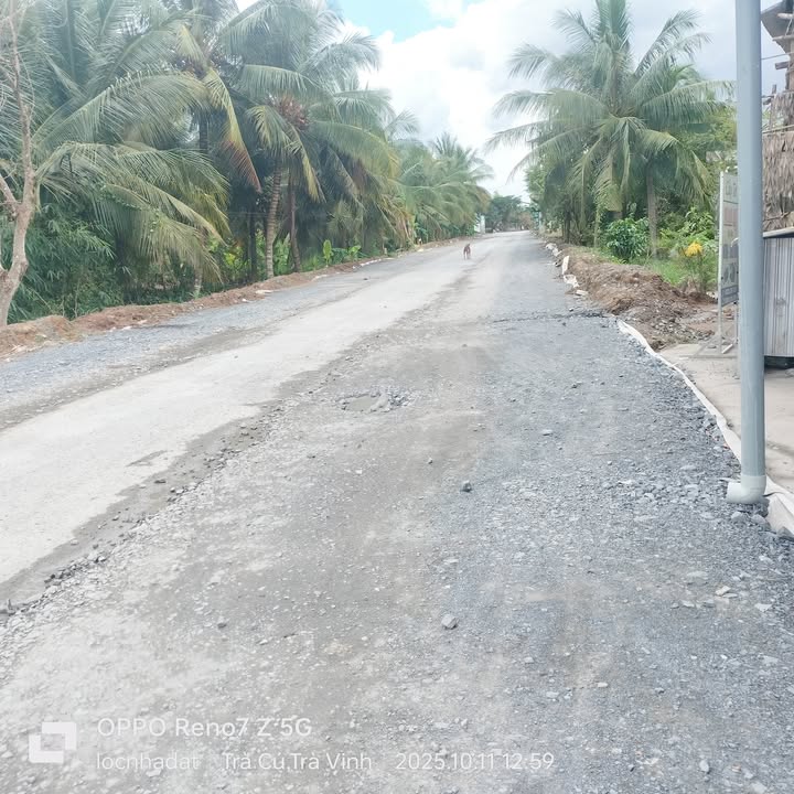 Đất mặt tiền đường Tỉnh 915, xã Lưu Nghiệp Anh, 234.6m² chỉ 1.6 tỷ - Cơ hội đầu tư lý tưởng!