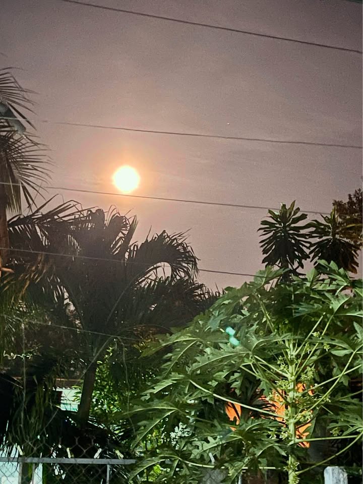 Đất nền Uyên Hưng Tân Uyên 400m² giá 2 tỷ - Cơ hội đầu tư sinh lời!