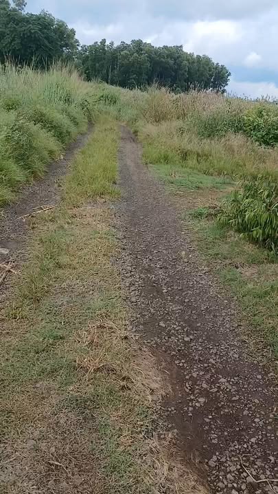 Đất Sông Ray Cẩm Mỹ 5100m² giá 1.3 tỷ - Đường đất bằng đẹp, đầu tư sinh lời!