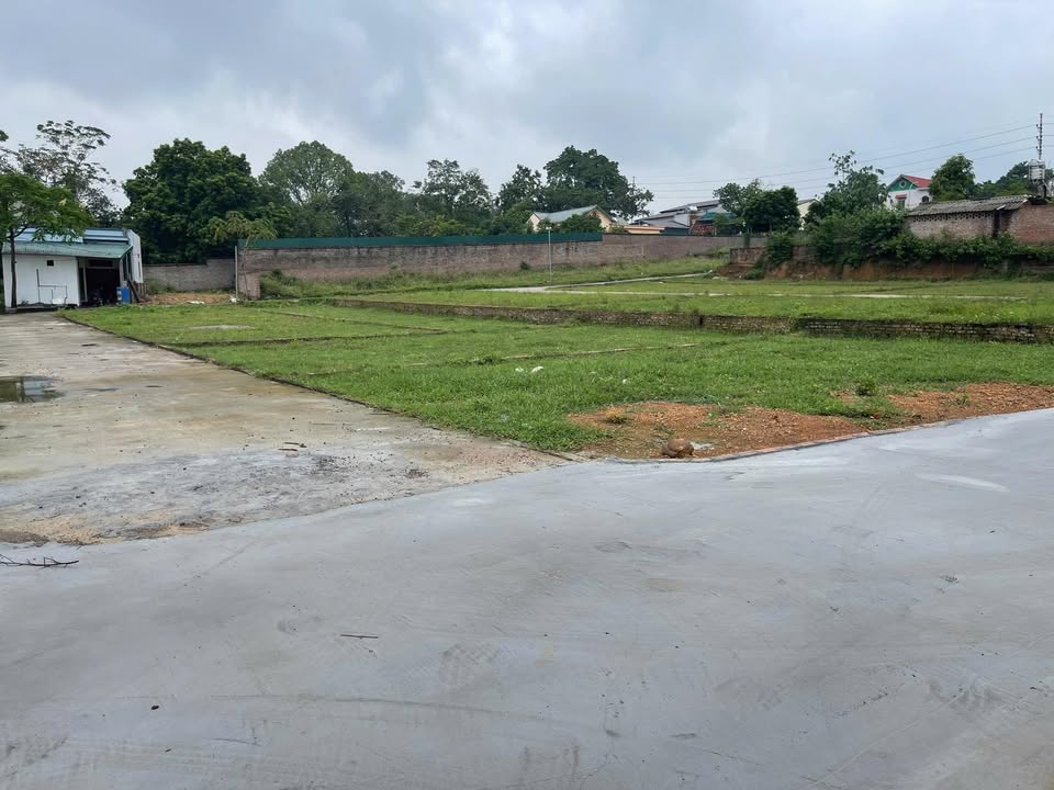 Đất nền Cẩm Lĩnh, Ba Vì 190m² giá thỏa thuận - Đầu tư sinh lời bền vững!