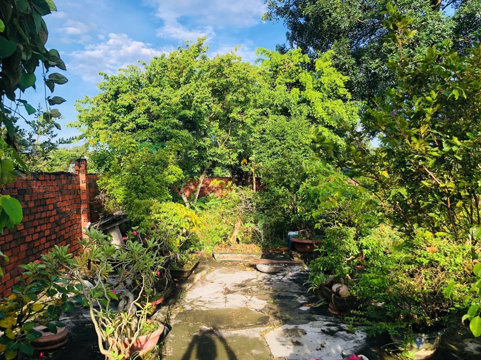 Nhà đẹp đường Nguyễn Thị Minh Khai, 500m² giá 1.5 tỷ - Vị trí đắc địa gần chợ Tân Nghĩa!