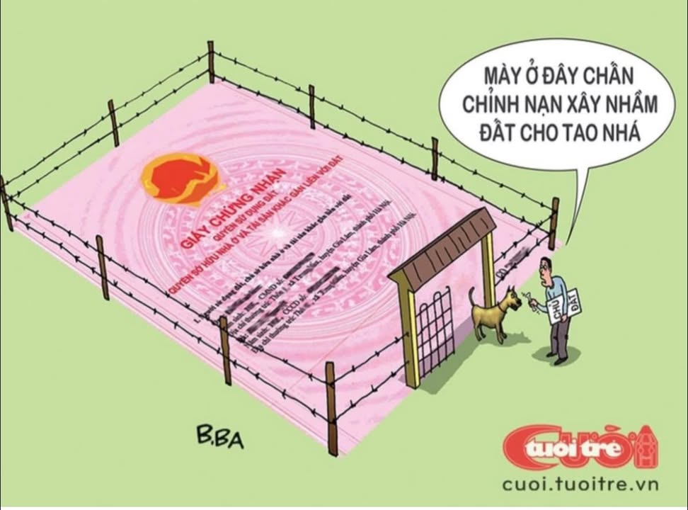 Đất nền Bảo Vinh 1100m² giá 1.2 tỷ - Đầu tư sinh lời hấp dẫn!