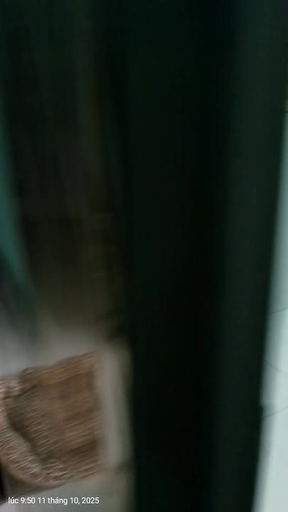 Nhà cấp 4 Bình Mỹ Củ Chi 255m² giá 1.25 tỷ - Chính chủ bán gấp!