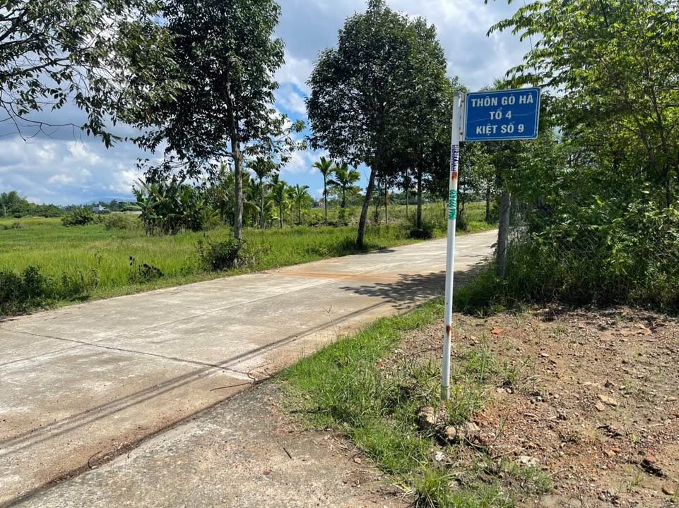 Đất nền Hòa Tiến Đà Nẵng 138m² giá 1.15 tỷ - Sổ hồng chính chủ