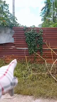 Đất thổ cư Thôn 2, xã Tân Hòa, huyện Cư Kuin 500m² giá 950 triệu - Sổ đỏ chính chủ!