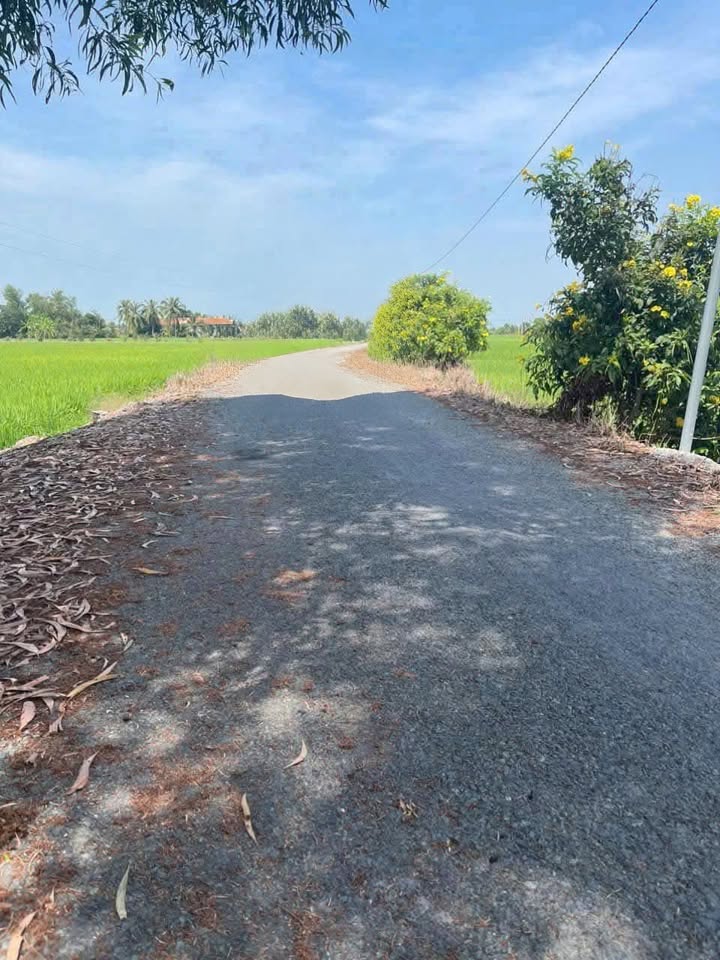 Đất lúa chuyển thổ 10.600m² tại An Hoà 1, Bình An - Giá 5.5 tỷ VND, cơ hội đầu tư tốt!