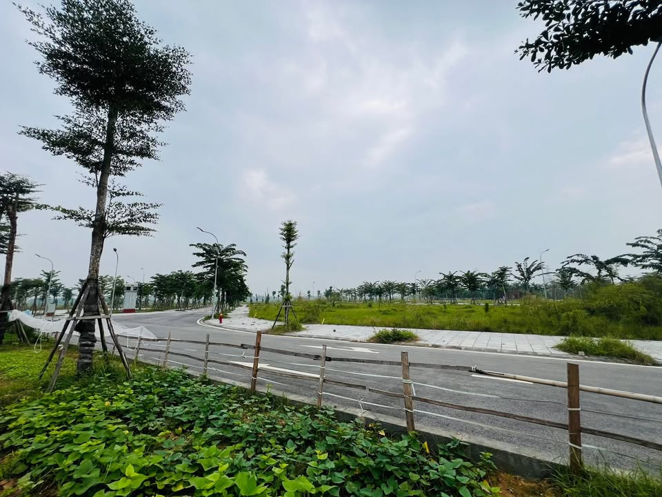 Đất nền Thụy Lâm, Đông Anh 83m² giá 4 tỷ - Đầu tư sinh lời ngay!