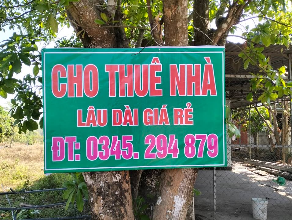 Nhà cho thuê Thôn 4, Diên Bình 890m² - Mặt tiền QL14, tiện nghi đầy đủ!