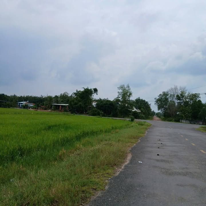 Đất nền Ninh Điền, Châu Thành, Tây Ninh 875m² giá 6.25 tỷ - Sổ hồng đầy đủ, thương lượng ngay!