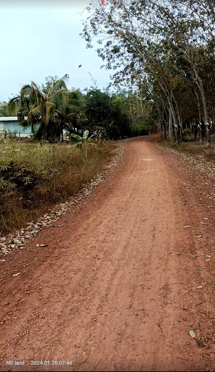 Đất thổ cư ấp 3, Suối Dây 1400m² giá 1.3 tỷ - Đầu tư sinh lời tuyệt vời!