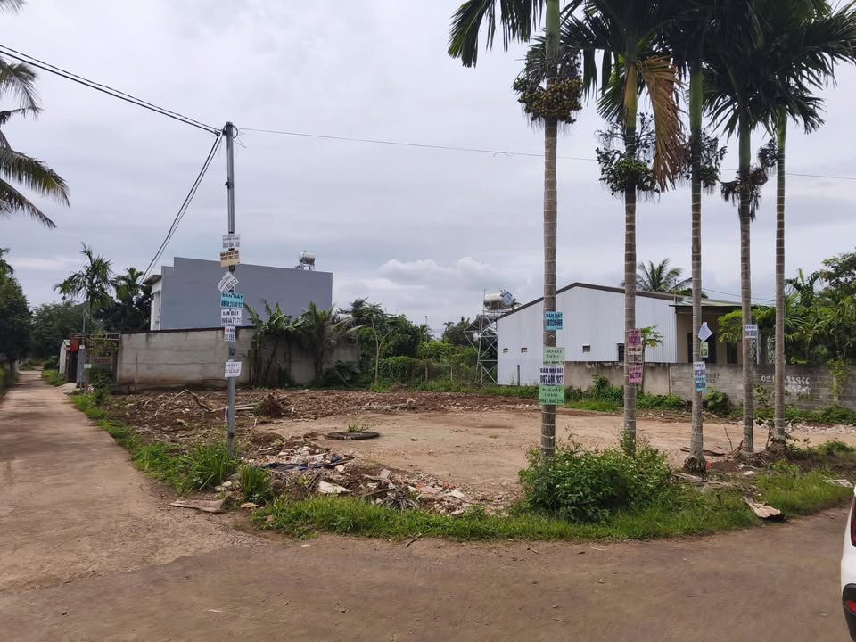 Đất nền phường Tân An, Buôn Ma Thuột 216m² giá chỉ 3.45 tỷ - Đầu tư sinh lời ngay!