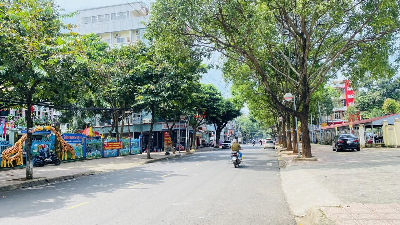 Mặt tiền kinh doanh phố Ngô Quyền, Tân An - 100m² giá 18 tỷ - Đầu tư sinh lời ngay!