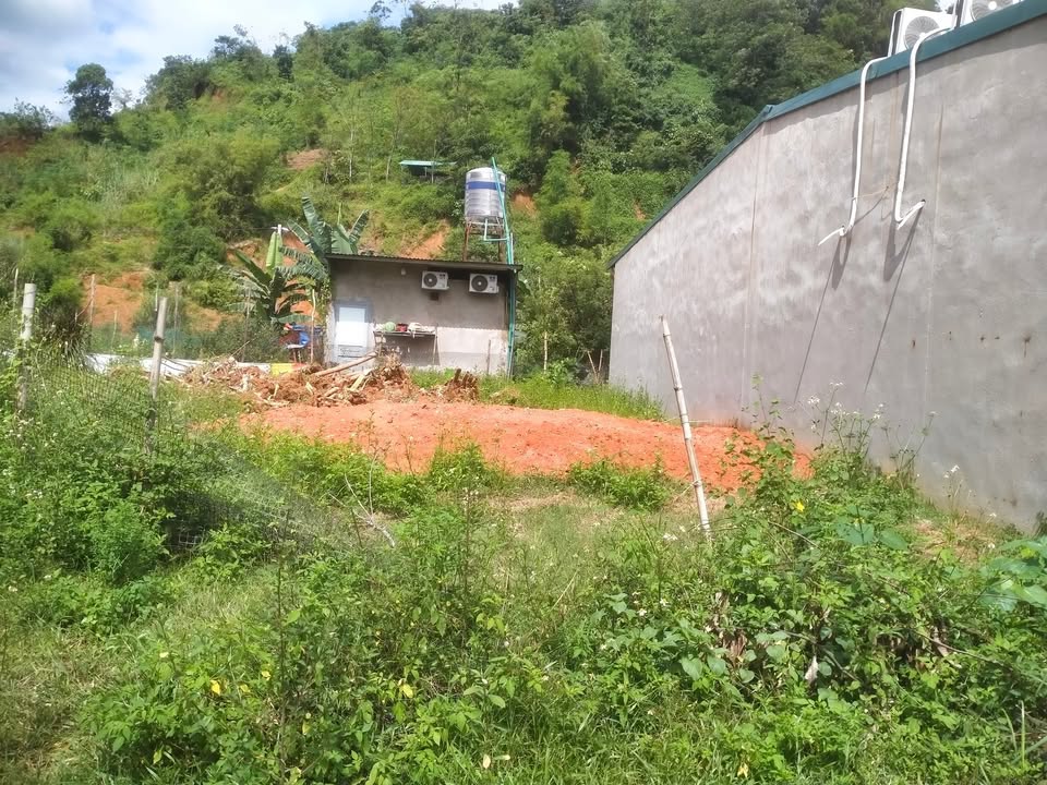 Đất nền Cam Đường 183m² giá 1.72 tỷ - Tiềm năng đầu tư cao!