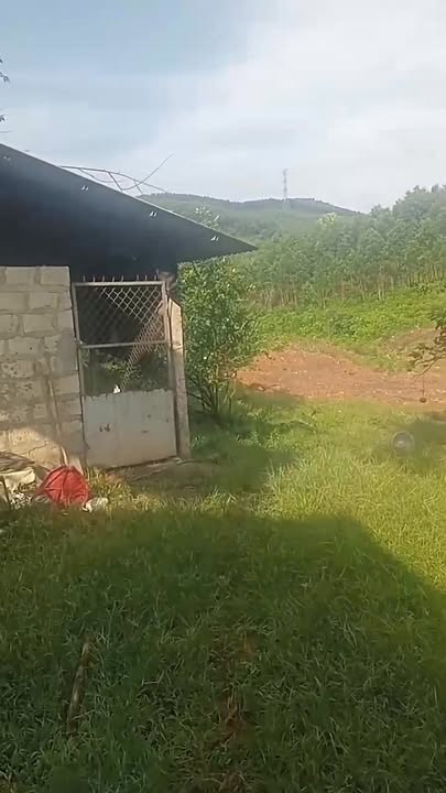 Đất thổ cư Kim Long 4500m² - Đầu tư sinh lời ngay!