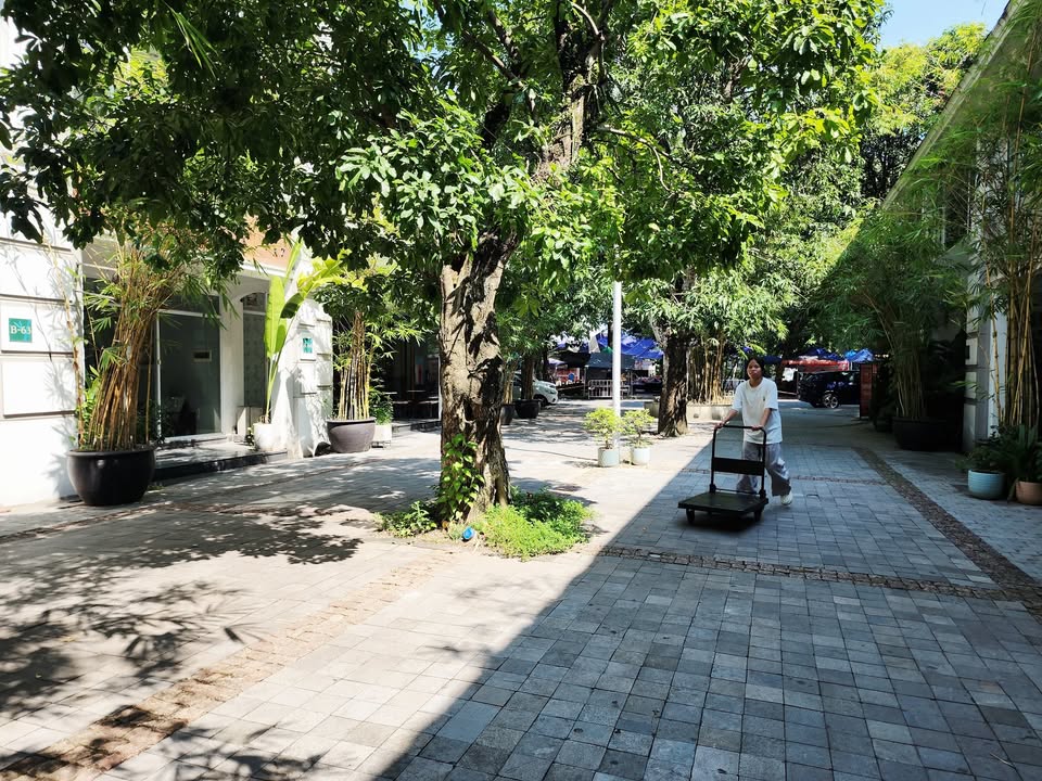 Shophouse Phố Trúc, Ecopark 110m² giá 20 tỷ - Không gian sống xanh mát!