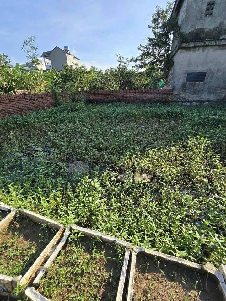 Đất nền Kim Sơn, Gia Lâm 42m² giá dưới 3 tỷ - Cơ hội đầu tư tuyệt vời!