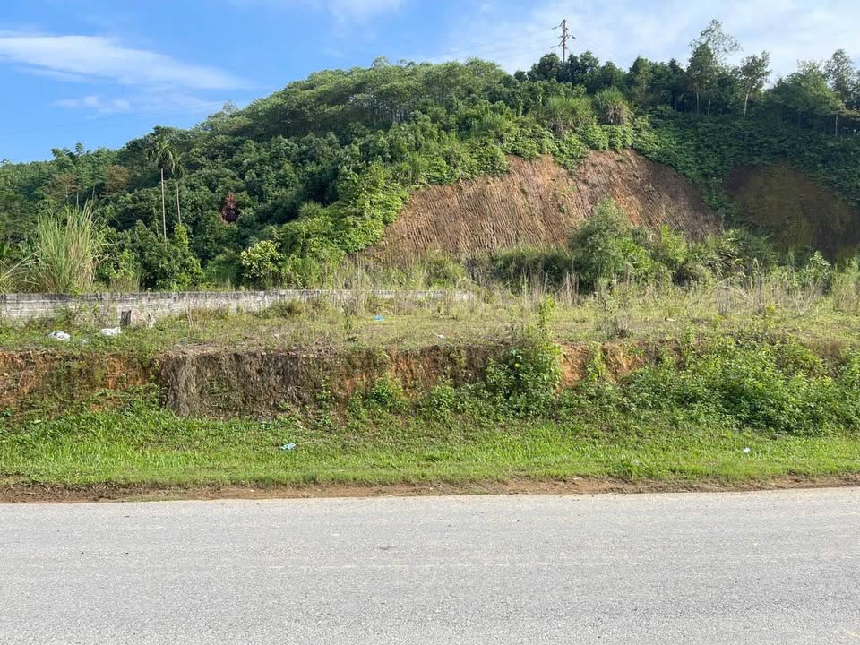 Đất thổ cư mặt đường Hợp Minh - Mỵ 1500m² giá 1.55 tỷ - Cơ hội đầu tư hấp dẫn!