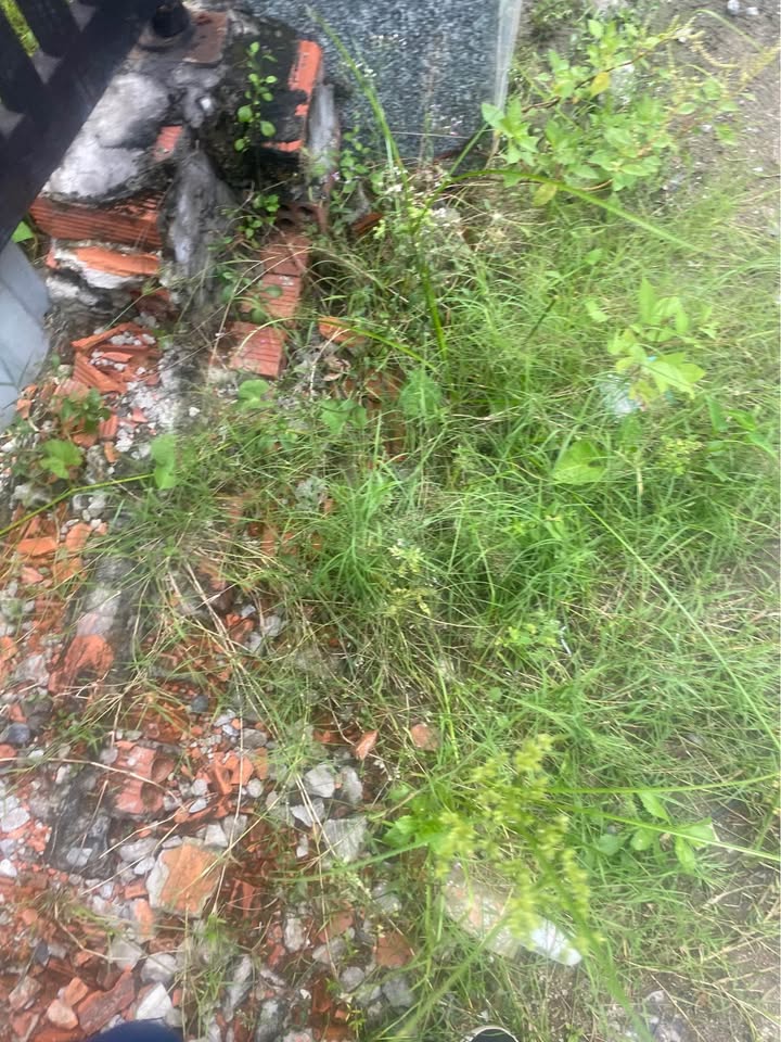 Bán đất nông nghiệp Hẻm 988, Vũng Tàu 130m² - Giá 1,9 tỷ, sổ đỏ chính chủ!