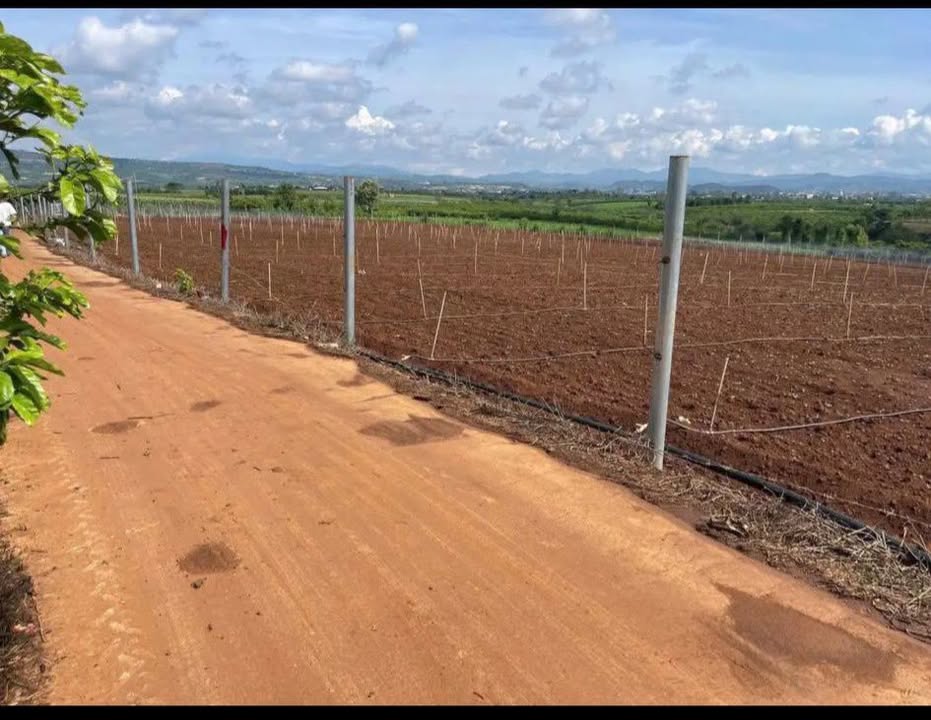 Đất nền Tân Hội Đức Trọng 4800m² giá chỉ 850 triệu - Không thể bỏ lỡ!