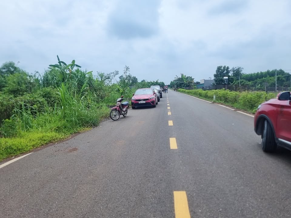 Đất nền Long Tân, Đất Đỏ, Bà Rịa - Vũng Tàu 20.000m² giá 24.89 tỷ - Đầu tư sinh lời cao!